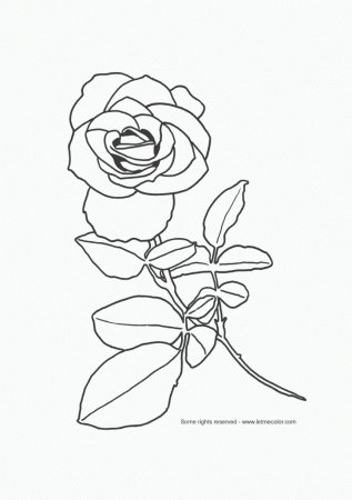 leaf clip art black and white coloring page images good pictures 