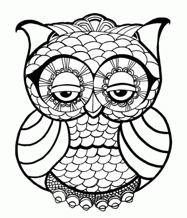 Owl Face Drawing