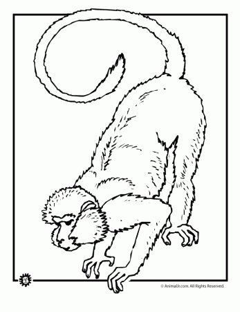 pig coloring page another for kids
