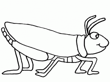Insect Coloring Sheets | COLORING WS