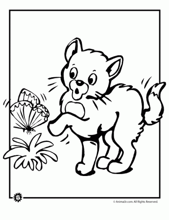 Male Kitten Coloring Pages For Boys