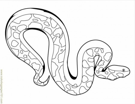 Printable Snake Pictures | Animal Coloring pages | Printable 