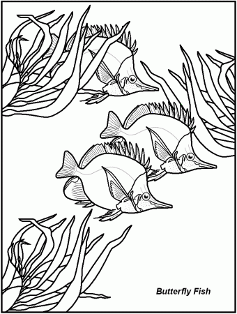 FREE Printable Fish Coloring Pages - great for kids, teachers and 