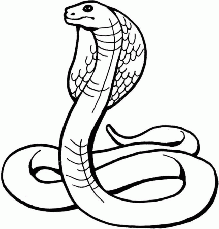 Free Snake Color Pages - Kids Colouring Pages