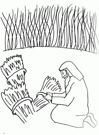 Bible Story Coloring Page for The Parable of the Wheat and the 