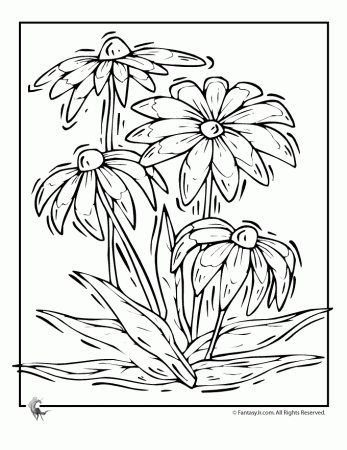 colouring pages adults - Bing Images | Color