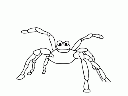 Spiders Insects Animals Coloring Pages Print Deze Kleurplaat Id 
