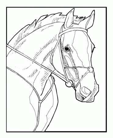 Realistic Horses Coloring Pages