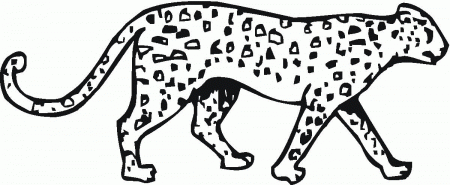 Cheetah Coloring Pages | Coloring Pages For Kids