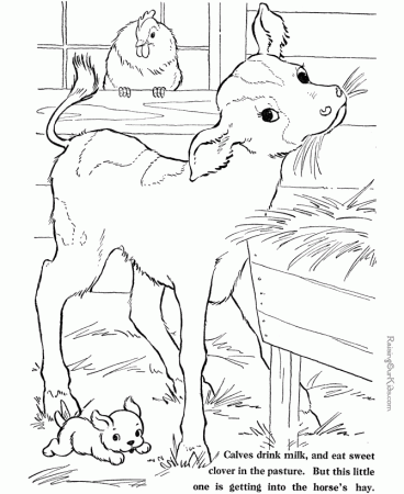 Printable farm animal coloring page | Jamie and Aaron's Baby | Pinter…