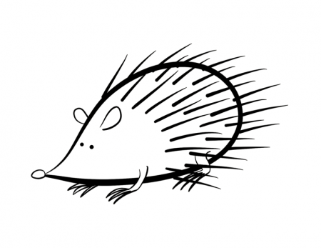 Hedgehog coloring page | ColorDad