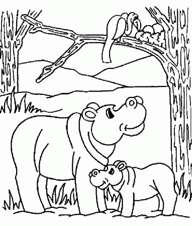 Hippo Coloring Pages 10 | Free Printable Coloring Pages 