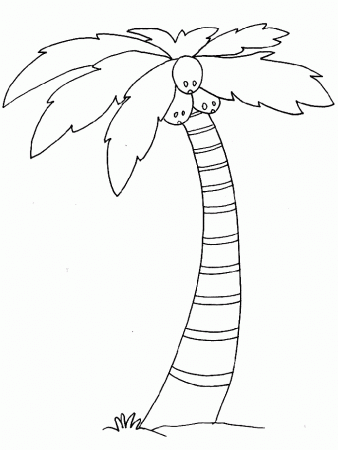 Coconut Tree Coloring Pages