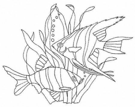 Nature Algae print coloring pages. 1