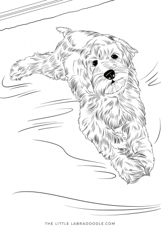 Pin on Doodle Lovers Coloring Pages