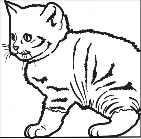 Free Cats Coloring Pages for Kids - Printable Coloring Sheets