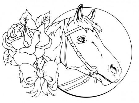 Horse Face Coloring Page