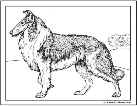 Online coloring pages Coloring page Lassie The dog and the box, Coloring  Download and print free.