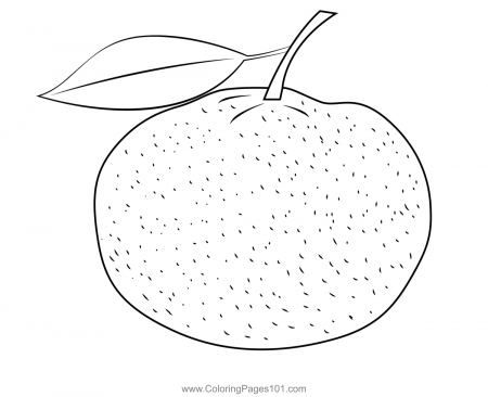 Fresh Mandarin Orange Coloring Page for Kids - Free Mandarin Orange  Printable Coloring Pages Online for Kids - ColoringPages101.com | Coloring  Pages for Kids