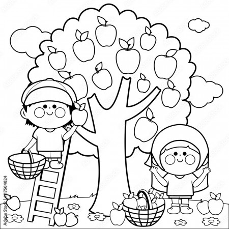 Children picking apples under an apple tree. Vector black and white  coloring page. Stock Vector | Adobe Stock