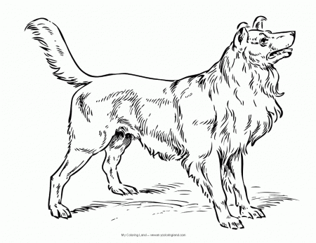 Beagle With Puppies Coloring Page Free Printable Coloring Pages ...