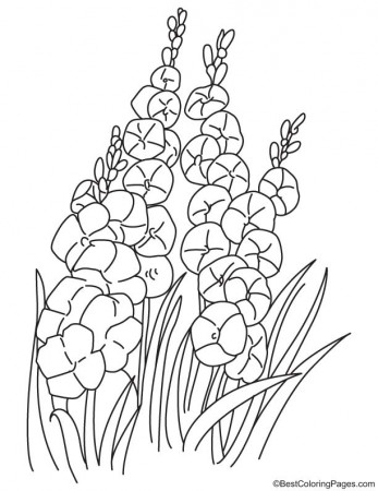 Orchid with bushes coloring page | Download Free Orchid with bushes  coloring page for kids | Best Coloring Pages