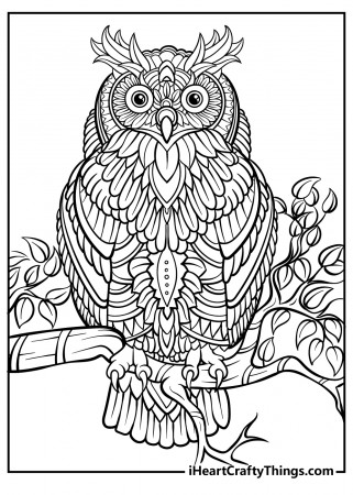 Printable Adult Coloring Pages (Updated 2023)