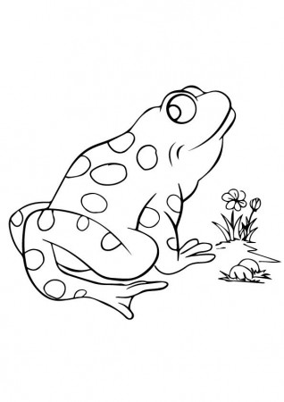 Free Printable Frog Coloring Pages, Frog Coloring Pictures for  Preschoolers, Kids | Parentune.com