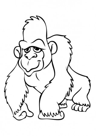 ▷ Gorilla: Coloring Pages & Books - 100% FREE and printable!
