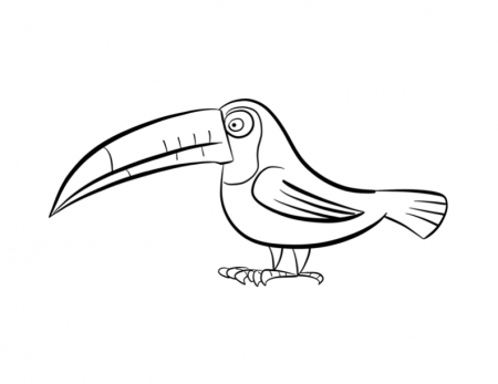 Free Toucan Coloring Pages, Download Free Clip Art, Free Clip Art ...