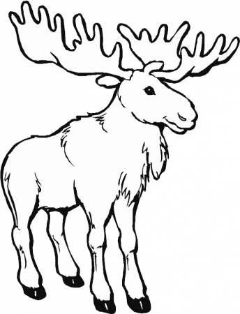 Caribou Animals Printable Pages Drawings And - Canada Day Coloring Pages  Clipart - Full Size Clipart (#381272) - PinClipart
