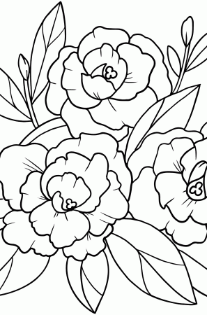 Flower Coloring Page - A Peony Blossom ♥ Online and Print for Free!