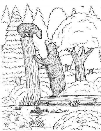 Robin's Great Coloring Pages: Black Bear and Grizzly Bear comparison coloring  pages
