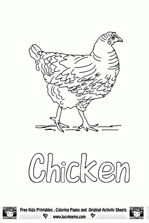 Chicken Coloring Pages,Lucy Learns Free Chicken Coloring Page ...