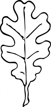 White Oak Leaf Outline | patterns | Pinterest | Oak Leaves, White ...