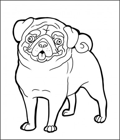 Pug To Print - Coloring Pages for Kids and for Adults