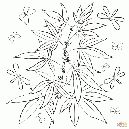 Marijuana coloring page | Free Printable Coloring Pages