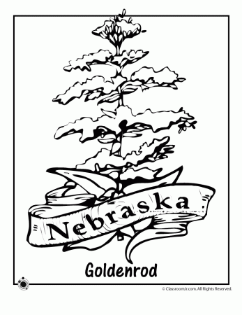 Nebraska State Flower Coloring Page | Woo! Jr. Kids Activities