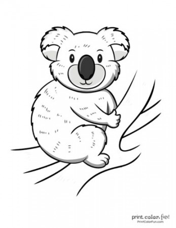 21 free cute Koala coloring pages ...