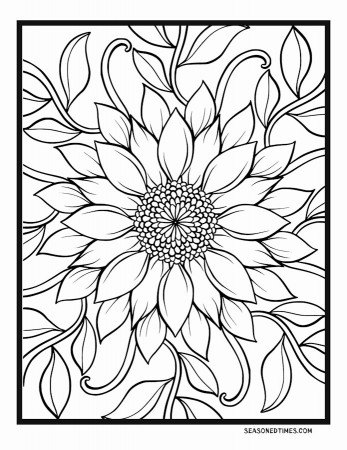 Coloring for Seniors – Seasoned Times