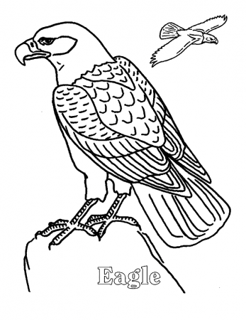 Eagle Coloring Pages - Eagle Coloring Pages - Coloring Pages For Kids And  Adults