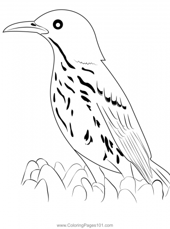 Brown Thrasher Coloring Page for Kids - Free Mockingbirds Printable Coloring  Pages Online for Kids - ColoringPages101.com | Coloring Pages for Kids