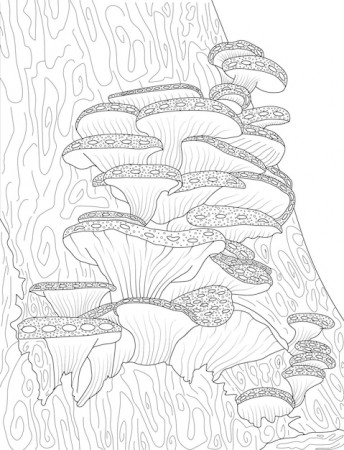 Premium Vector | A collection of cute oyster mushrooms fantasy coloring page  line art with abstract tree