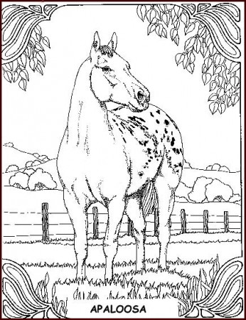 horses_36 Adult coloring pages