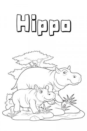 Zoo Animal Coloring Pages for Kids