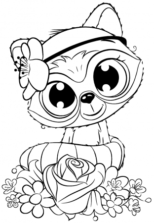 Cute Raccoon - Coloring pages for you