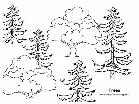 Tree Coloring Pages - Nature Inspired Learning