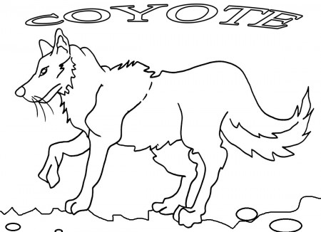 Printable Coyote Coloring Pages For Kids | Cool2bKids
