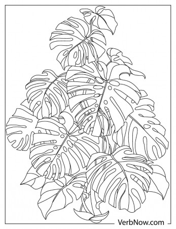 Free LEAVES Coloring Pages & Book for Download (Printable PDF) - VerbNow