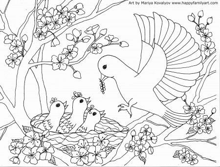 Coloring Pages : Coloring For Kids Freety Bird Pictures To Blue ...